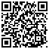 QR Code Handyversion