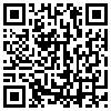 QR Code Handyversion