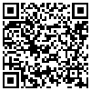 QR Code Handyversion