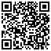 QR Code Handyversion