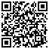 QR Code Handyversion