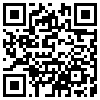 QR Code Handyversion