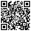 QR Code Handyversion