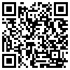 QR Code Handyversion