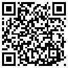 QR Code Handyversion