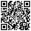 QR Code Handyversion