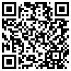 QR Code Handyversion