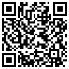 QR Code Handyversion