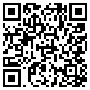 QR Code Handyversion