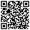 QR Code Handyversion