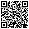 QR Code Handyversion