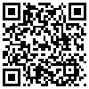 QR Code Handyversion