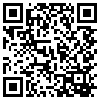 QR Code Handyversion