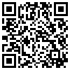 QR Code Handyversion