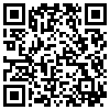 QR Code Handyversion