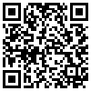 QR Code Handyversion