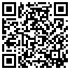 QR Code Handyversion