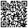 QR Code Handyversion