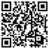 QR Code Handyversion