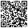 QR Code Handyversion