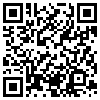 QR Code Handyversion