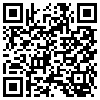 QR Code Handyversion