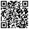 QR Code Handyversion