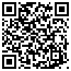 QR Code Handyversion