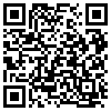 QR Code Handyversion