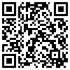 QR Code Handyversion