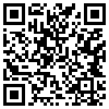 QR Code Handyversion