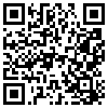 QR Code Handyversion