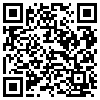 QR Code Handyversion