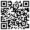 QR Code Handyversion