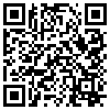 QR Code Handyversion