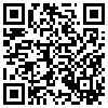 QR Code Handyversion