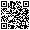 QR Code Handyversion