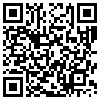 QR Code Handyversion