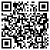 QR Code Handyversion