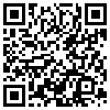 QR Code Handyversion