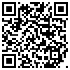 QR Code Handyversion