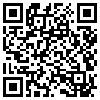 QR Code Handyversion