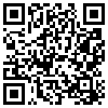 QR Code Handyversion