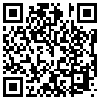 QR Code Handyversion