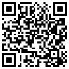 QR Code Handyversion