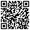 QR Code Handyversion