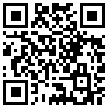 QR Code Handyversion