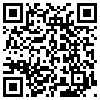 QR Code Handyversion