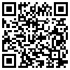 QR Code Handyversion