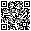 QR Code Handyversion